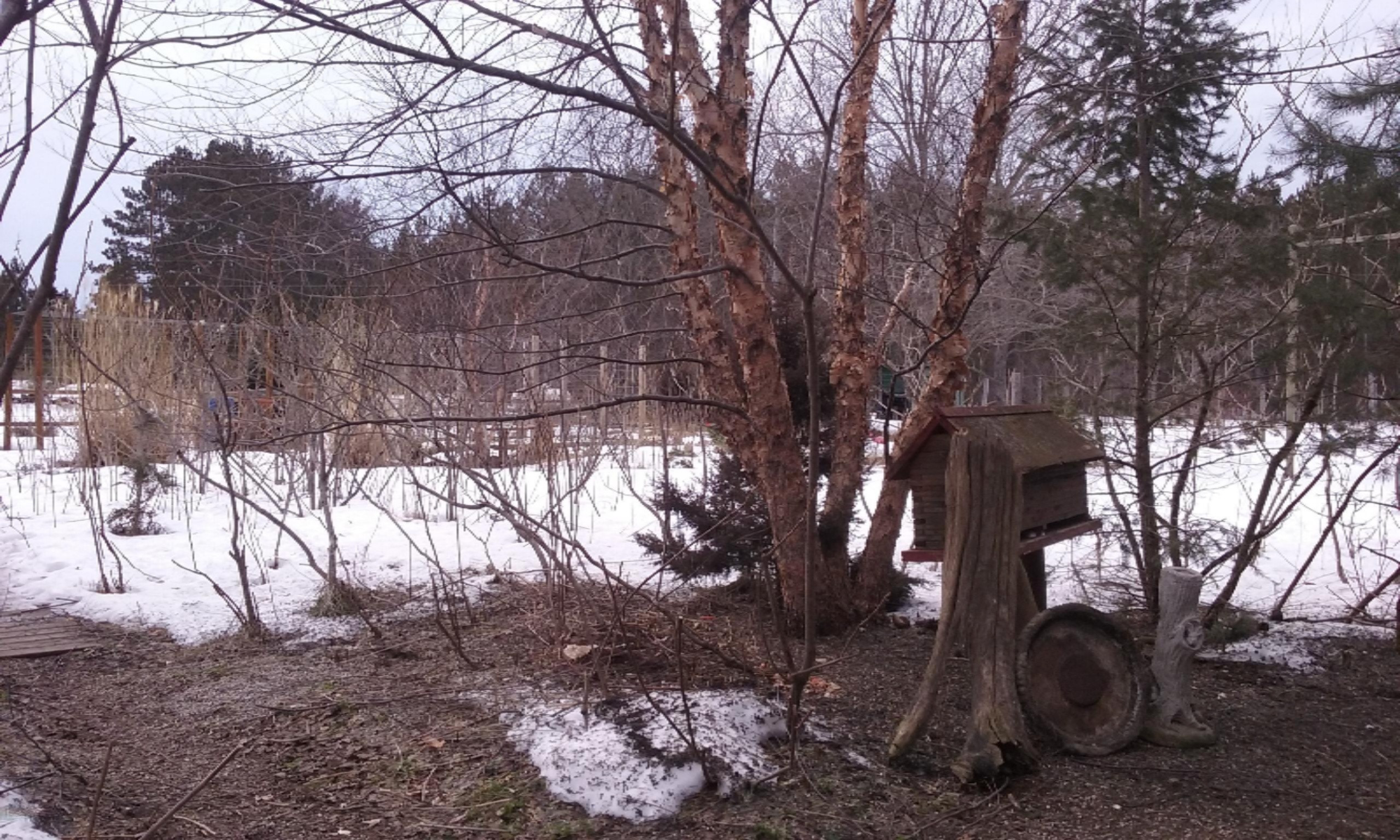 6493 Wolf Road Thompsonville, MI 49683 - Photo 34 of 45 20160308_153246