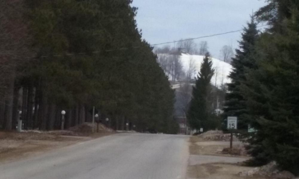 6493 Wolf Road Thompsonville, MI 49683 - Photo 42 of 45 Crystal Mtn 2 Miles
