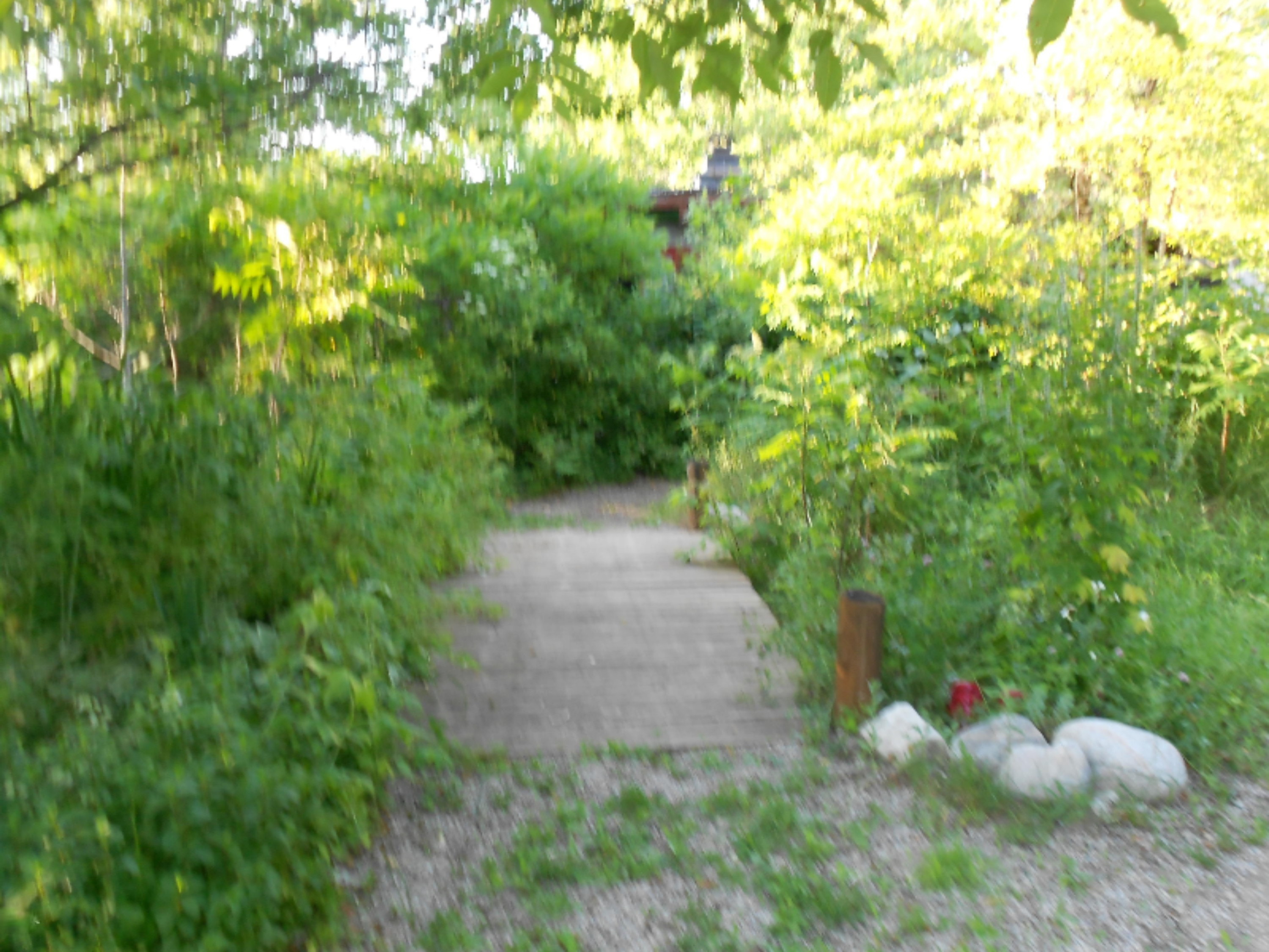 6493 Wolf Road Thompsonville, MI 49683 - Photo 44 of 45 DSCN0060