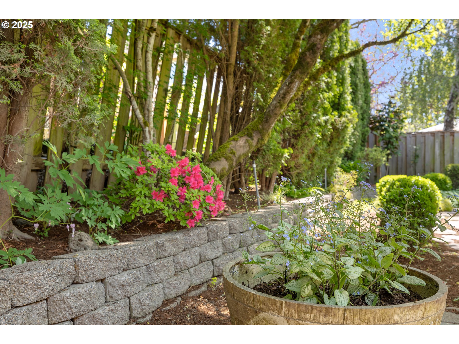 1356 Southeast Larch Way Gresham, OR 97080 - Photo 40 of 41 a view of a garden with plants