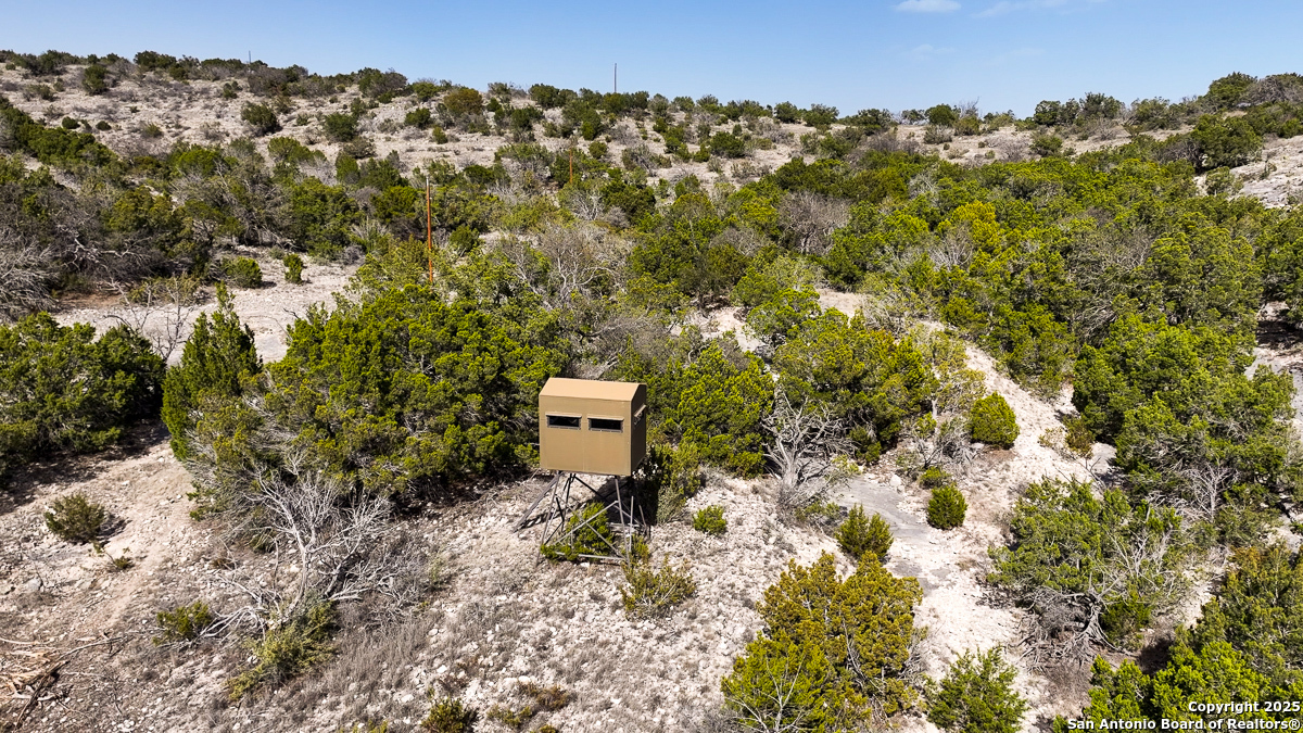 Tbd Marvin Road Comstock, TX 78837 - Photo 24 of 38 a view of a yard