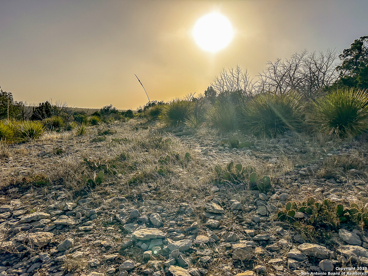 Tbd Marvin Road Comstock, TX 78837 - Photo 26 of 38 a view of a field of grass and trees