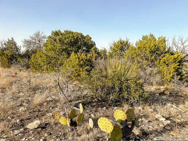 a view of a large building with a mountain in the background