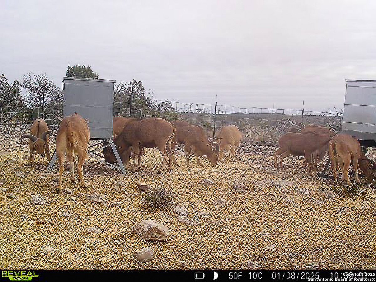 Tbd Marvin Road Comstock, TX 78837 - Photo 33 of 38 a view of a yard with an outdoor space