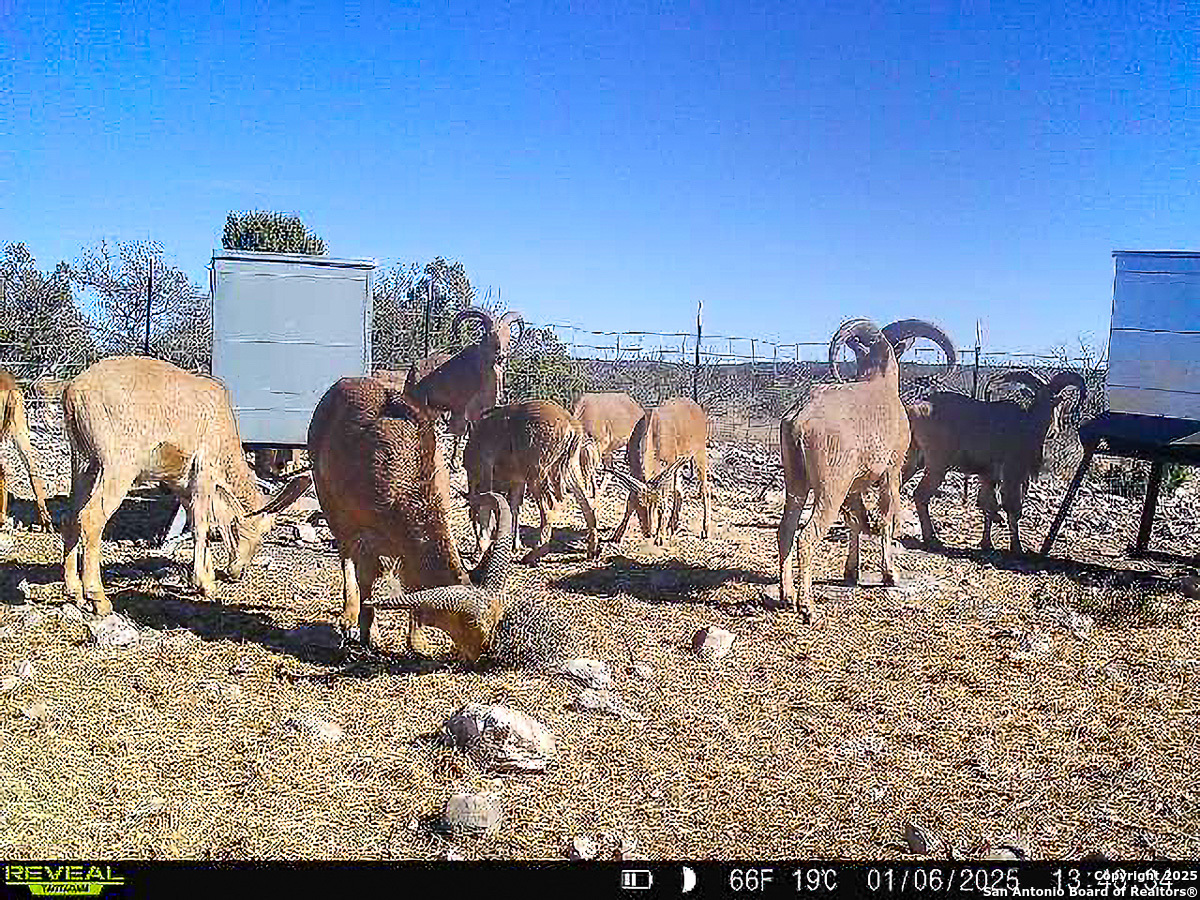 Tbd Marvin Road Comstock, TX 78837 - Photo 34 of 38