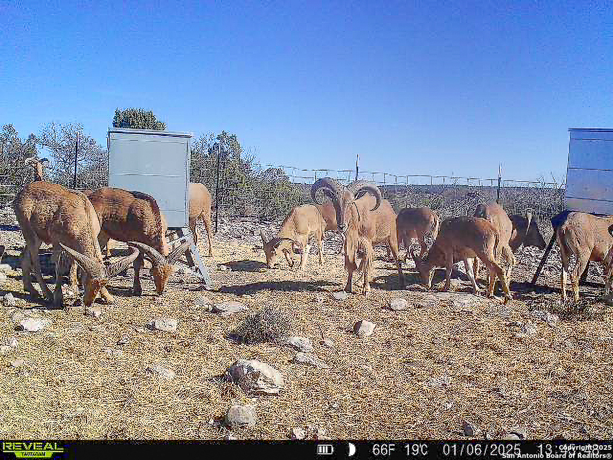 Tbd Marvin Road Comstock, TX 78837 - Photo 35 of 38 a view of a backyard of a house