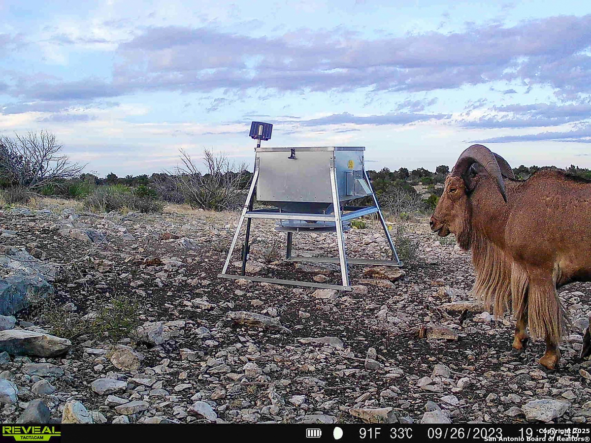 Tbd Marvin Road Comstock, TX 78837 - Photo 37 of 38 a view of a dry yard with wooden fence