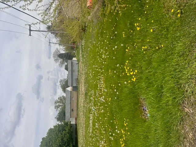 a view of a bathroom