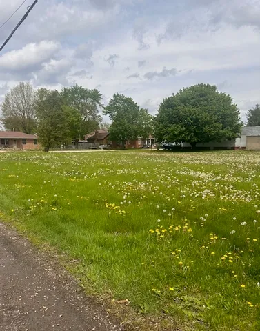 a view of yard with swimming pool and trees in the background