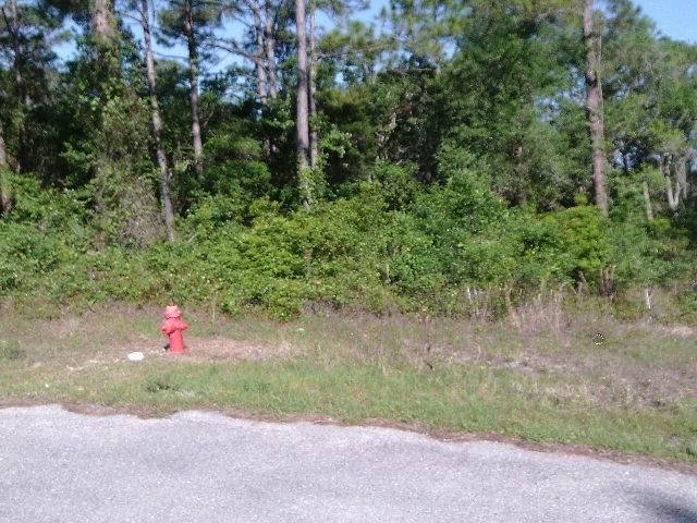 43 Hinton Street Carrabelle, FL 32322 - Photo 1 of 2