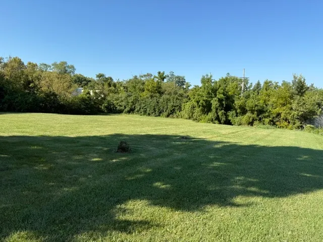 a view of a grassy field
