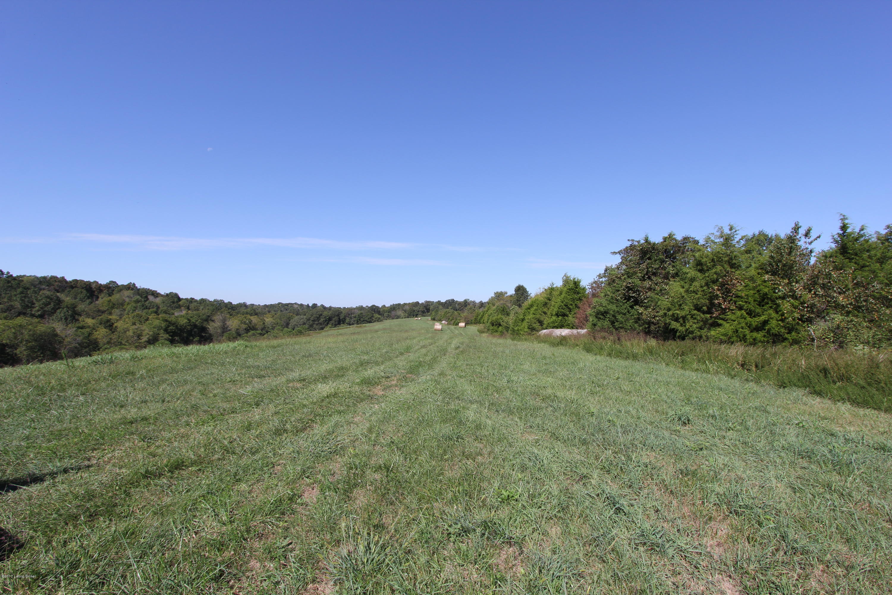 1500 Aaron Barnett Road Lawrenceburg, KY 40342 - Photo 27 of 39 IMG_8019