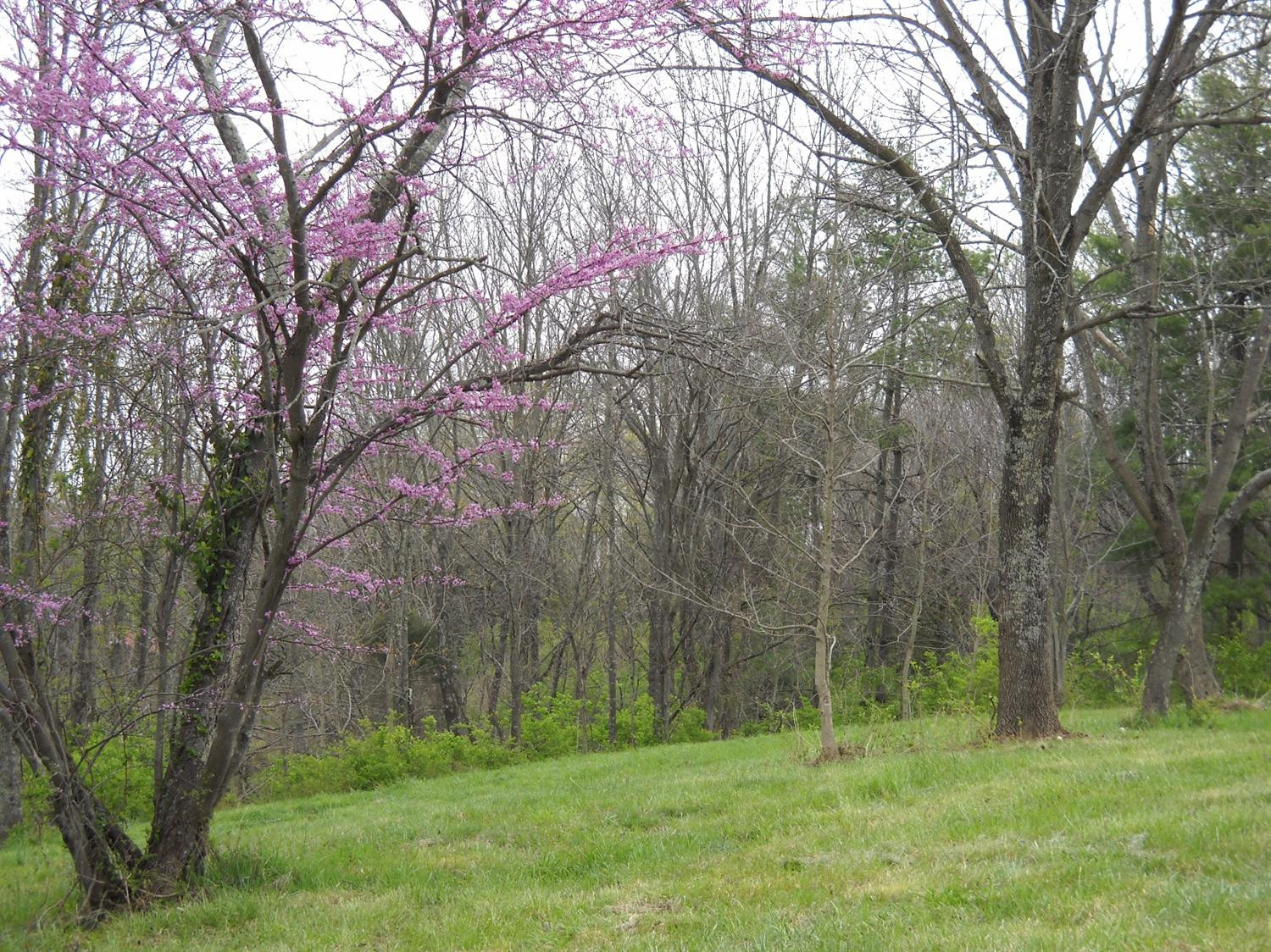 49 Hamilton Springs Road Lancaster, KY 40444 - Photo 9 of 23 Photo 9