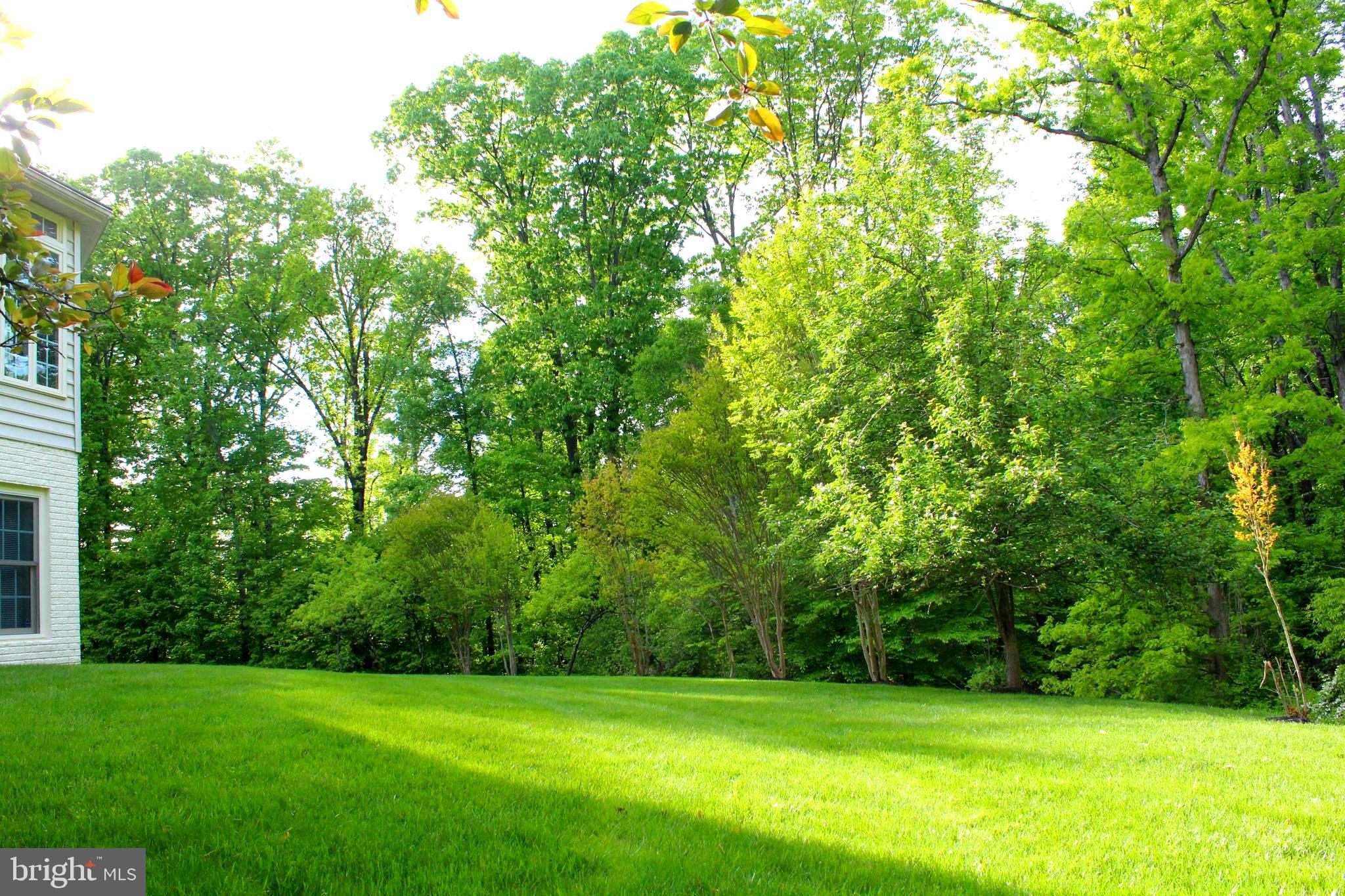 14232 Reed Farm Way North Potomac, MD 20878 - Photo 6 of 95 backyard