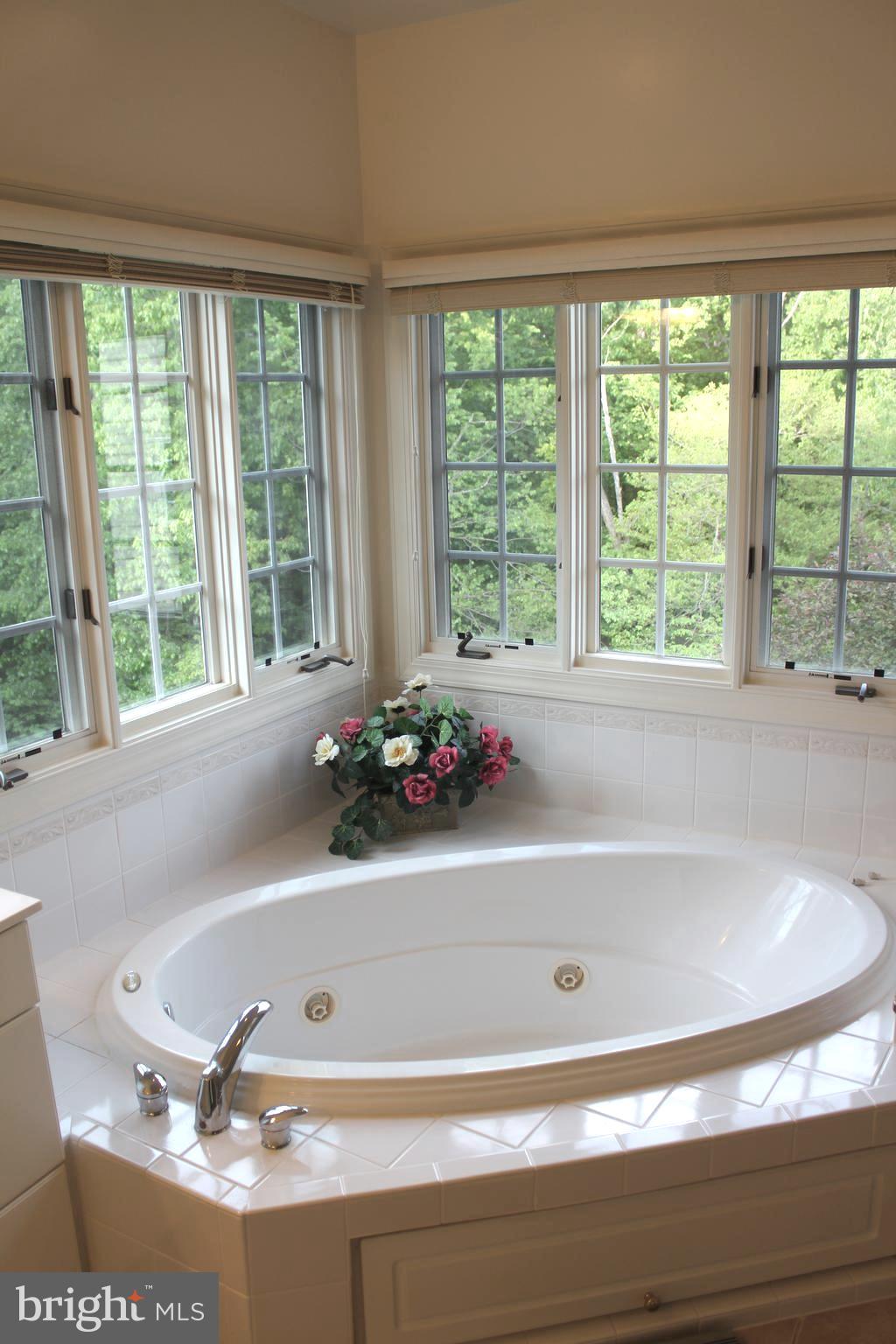 14232 Reed Farm Way North Potomac, MD 20878 - Photo 64 of 95 2nd Floor: Master Bathroom