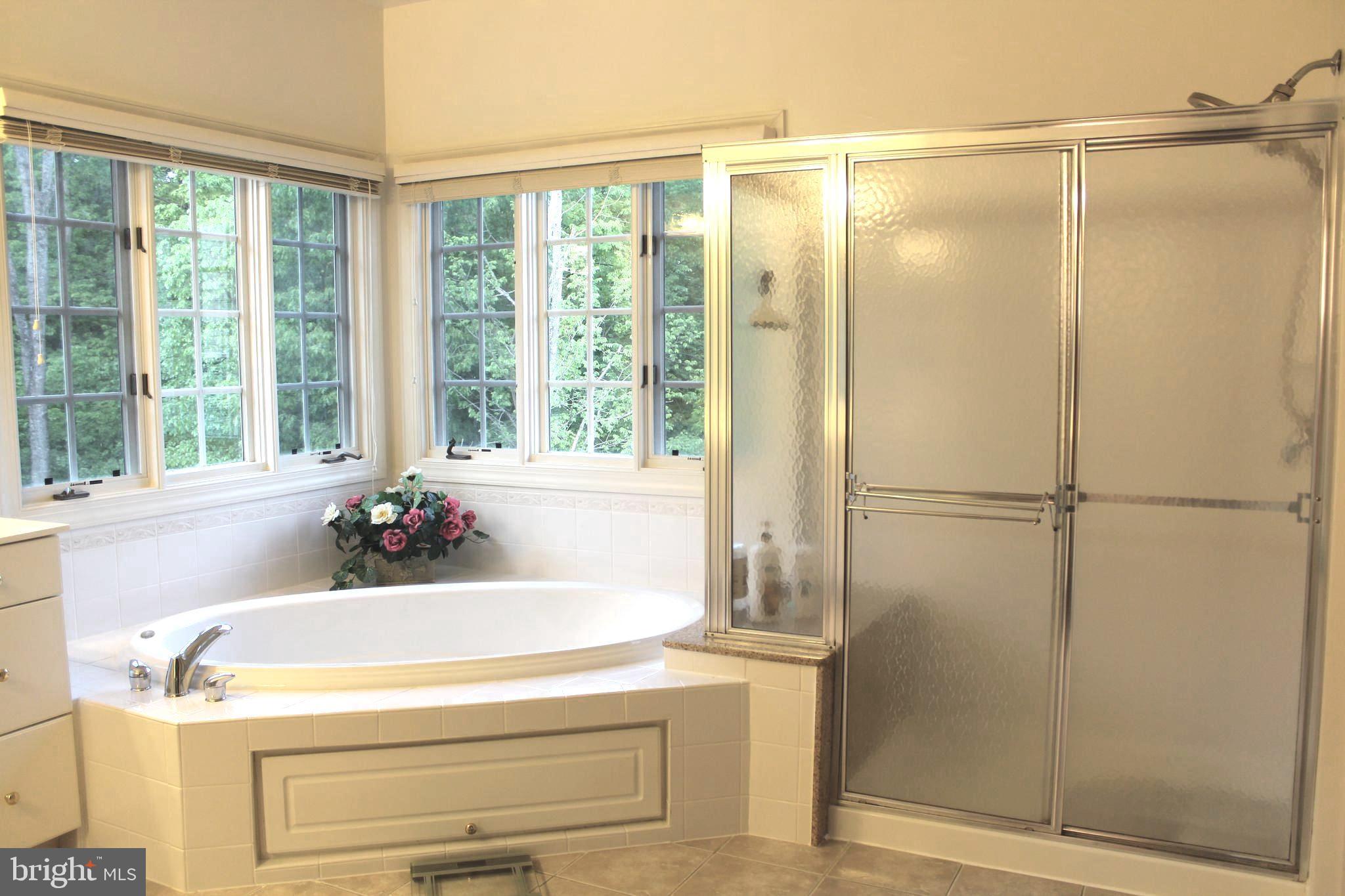 14232 Reed Farm Way North Potomac, MD 20878 - Photo 65 of 95 2nd Floor: Master Bathroom