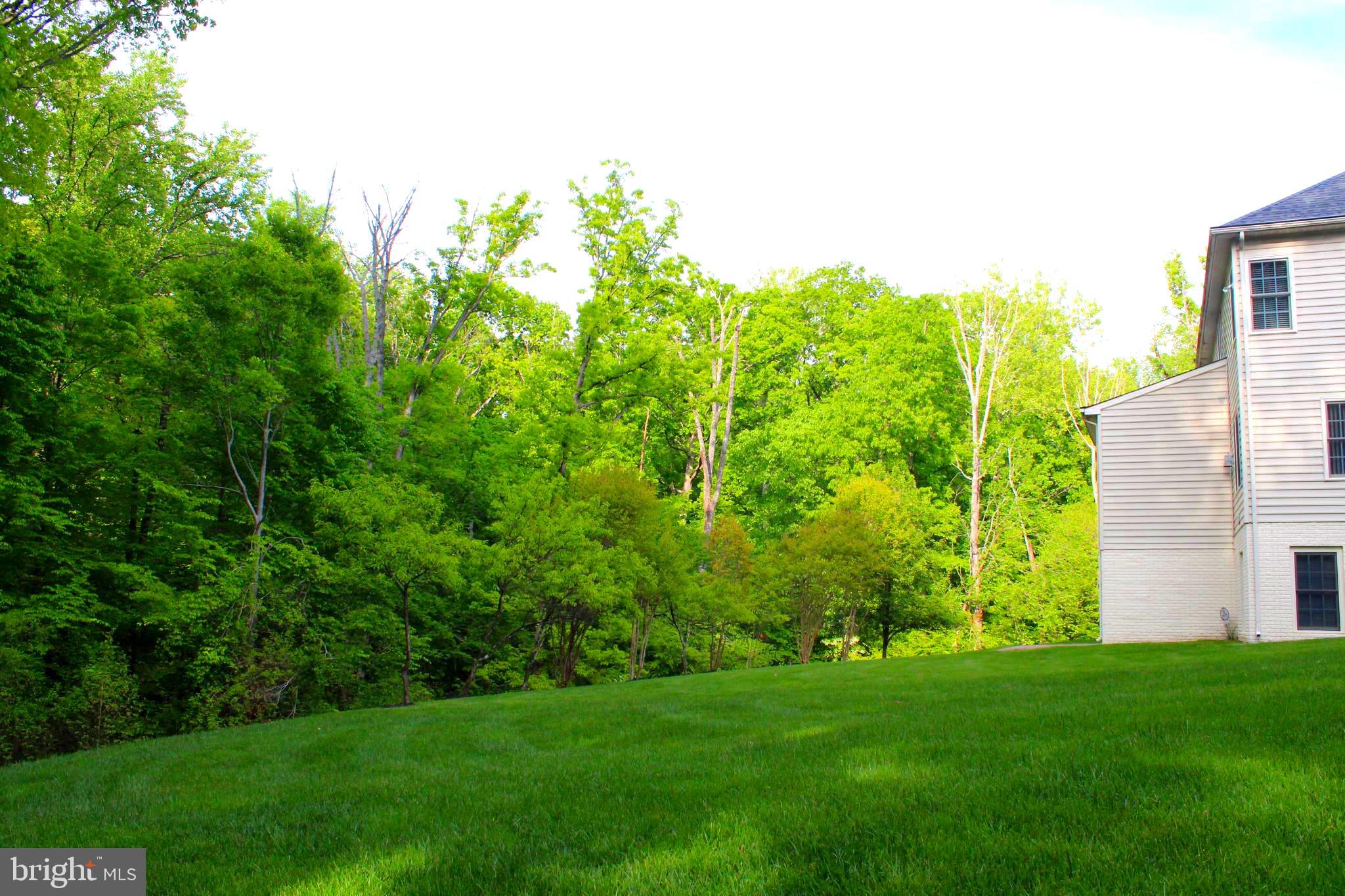 14232 Reed Farm Way North Potomac, MD 20878 - Photo 7 of 95 backyard