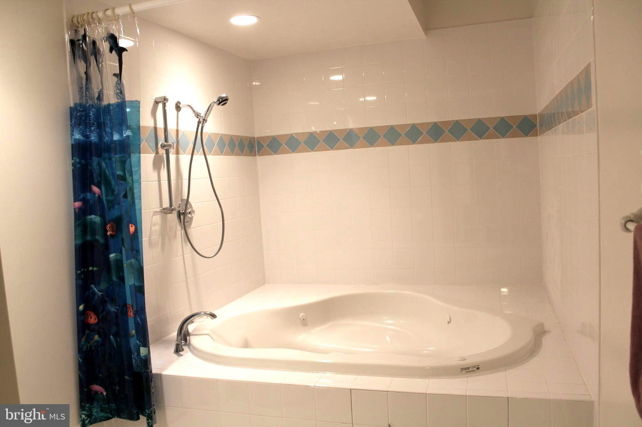 14232 Reed Farm Way North Potomac, MD 20878 - Photo 88 of 95 Basement: Jacuzzi