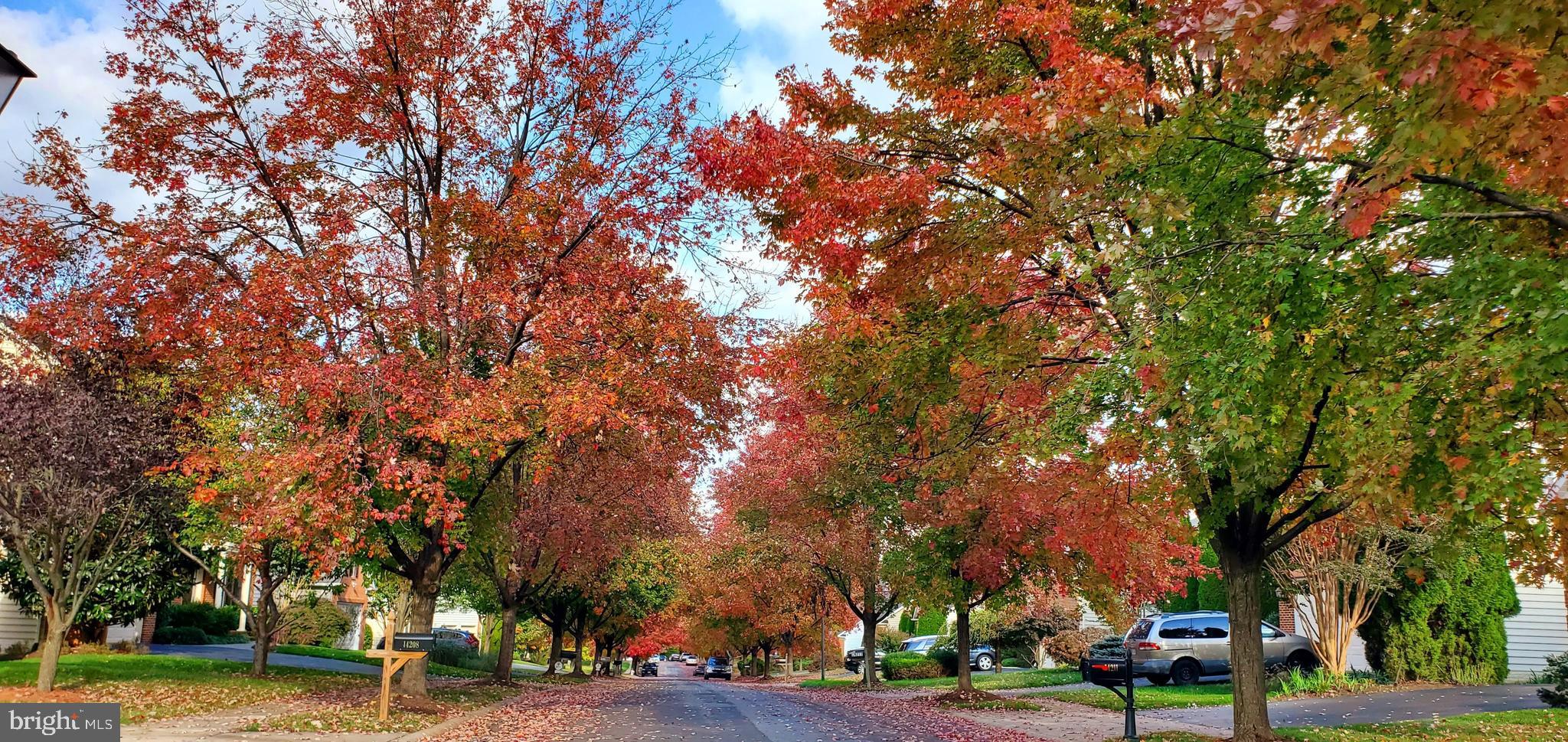 14232 Reed Farm Way North Potomac, MD 20878 - Photo 92 of 95
