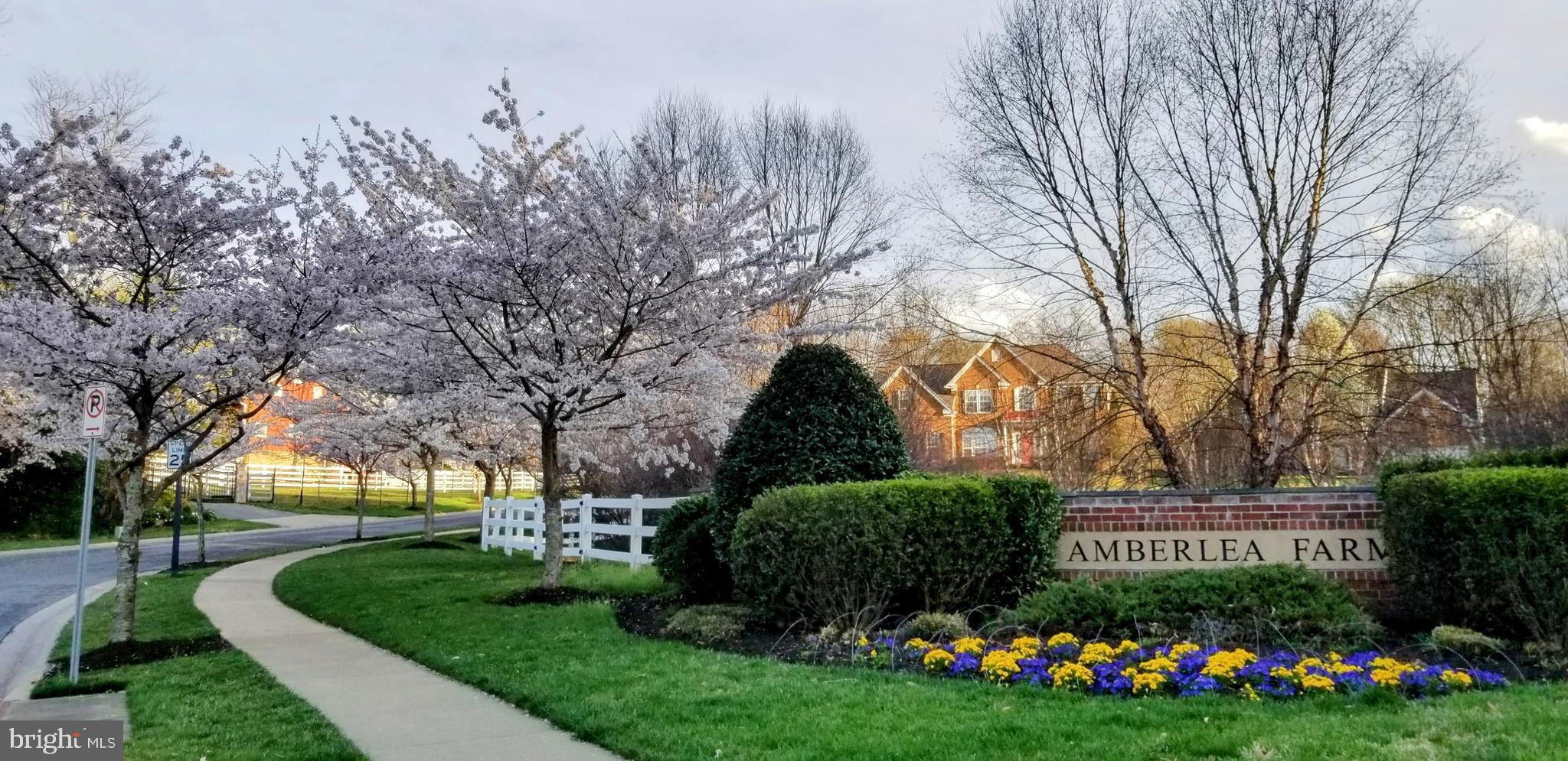 14232 Reed Farm Way North Potomac, MD 20878 - Photo 93 of 95