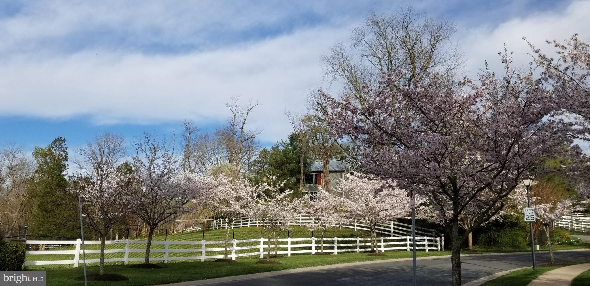 14232 Reed Farm Way North Potomac, MD 20878 - Photo 94 of 95