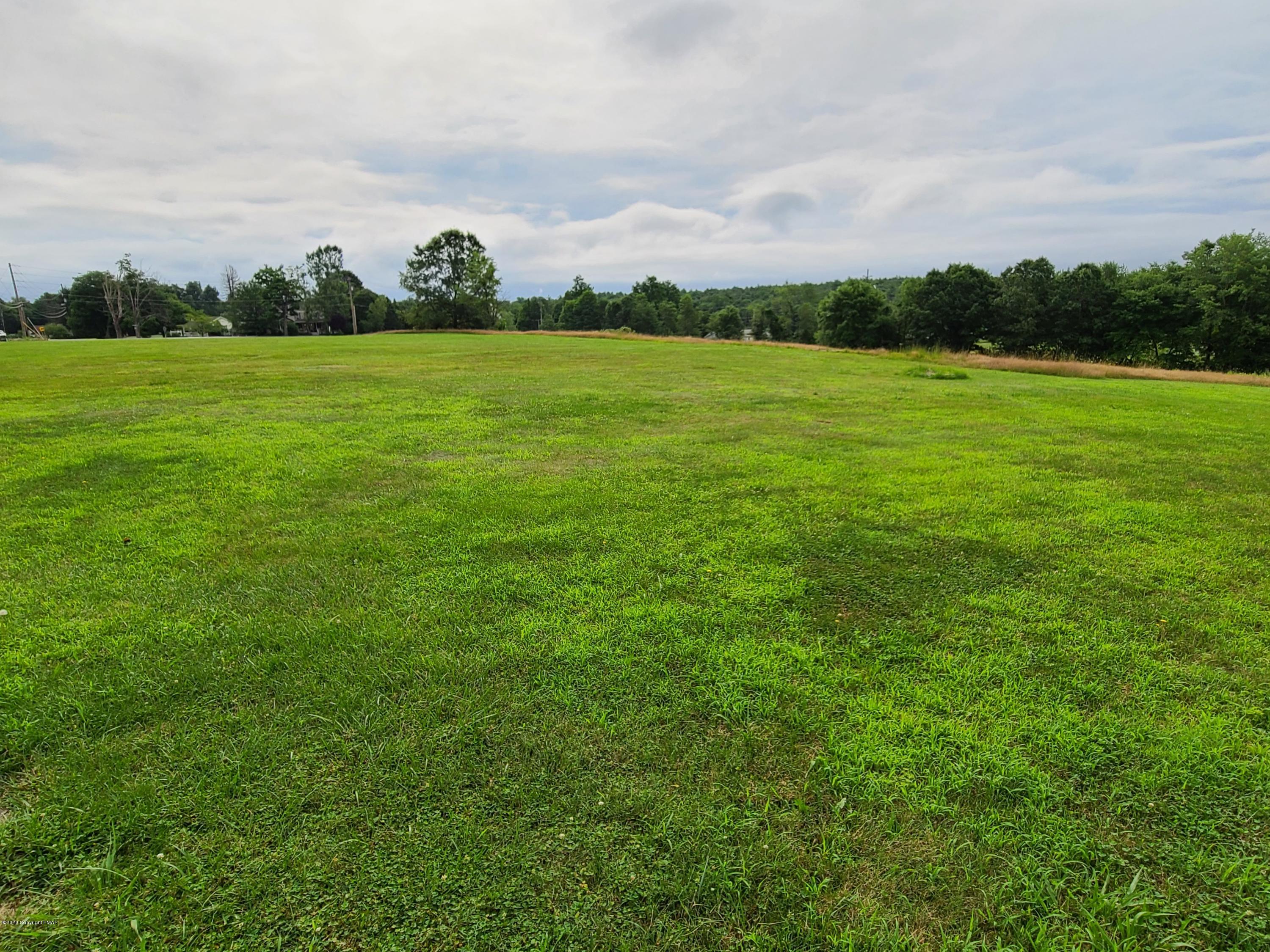 380 Cherry Lane Road Tannersville, PA 18372 - Photo 4 of 25 5.61 Acres