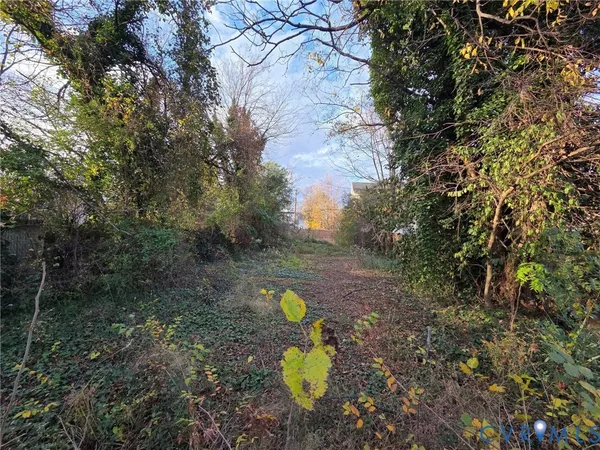 a view of a trees with backyard