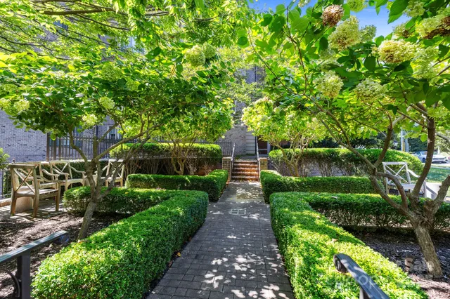 a view of yard with green space