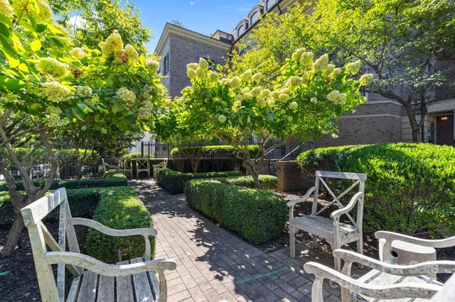 a view of backyard with seating space and plants