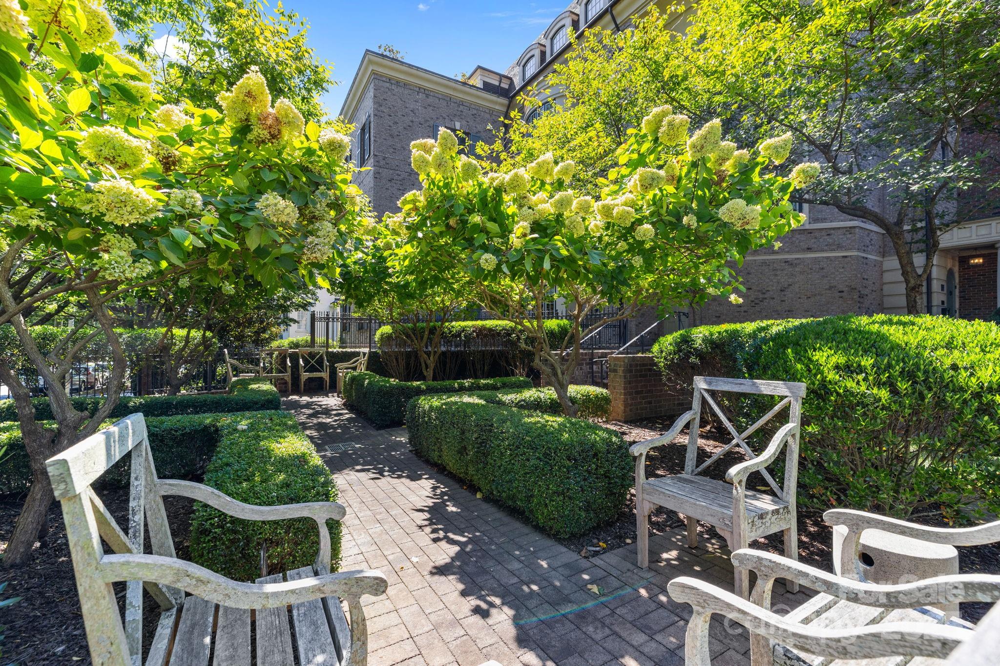 168 Cherokee Road Charlotte, NC 28207 - Photo 3 of 44 a view of backyard with seating space and plants