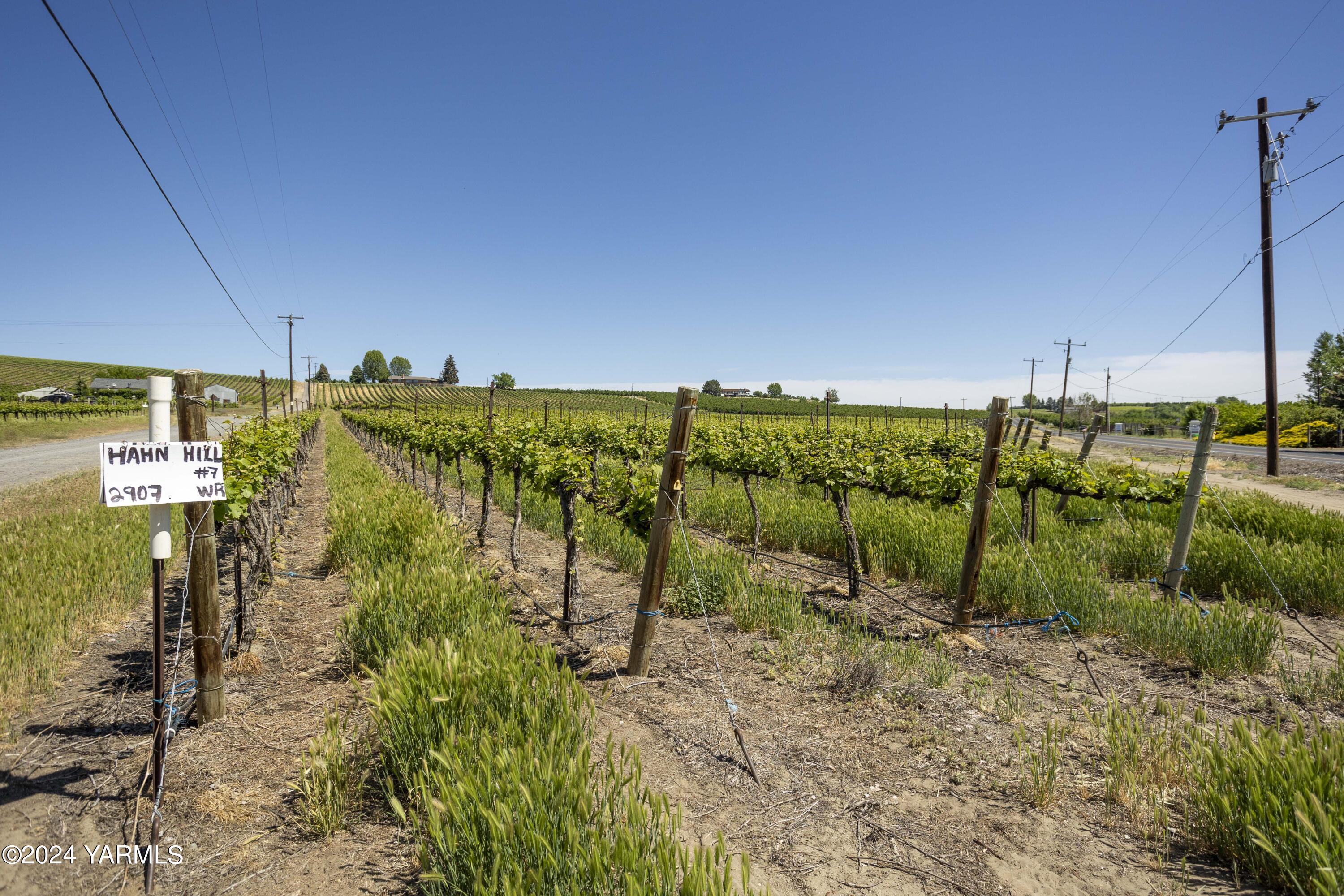 Tbd Wilson Highway Grandview, WA 98930 - Photo 5 of 11 TBD Wilson Highway 5.16.24 ground photos
