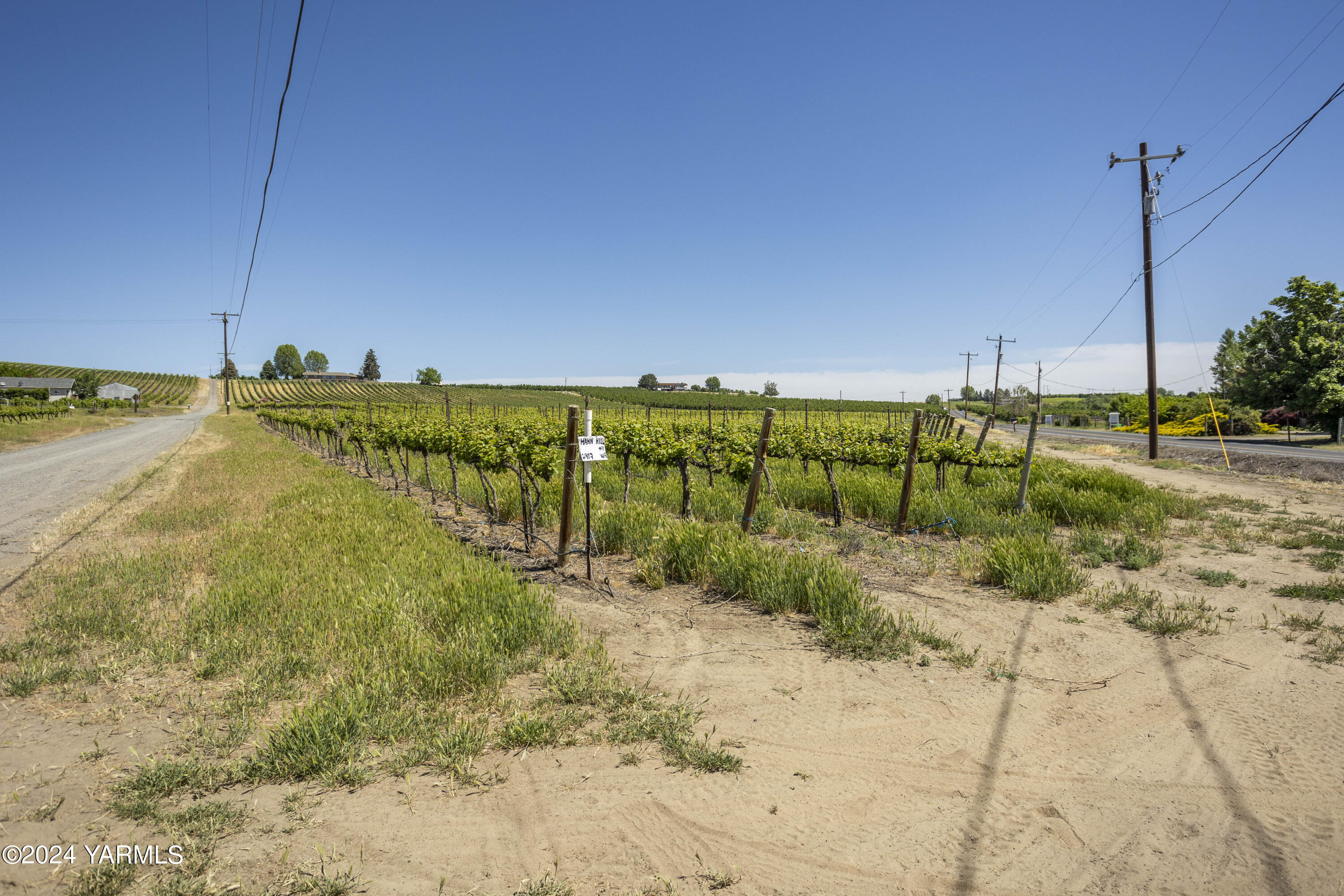 Tbd Wilson Highway Grandview, WA 98930 - Photo 6 of 11 TBD Wilson Highway 5.16.24 ground photos