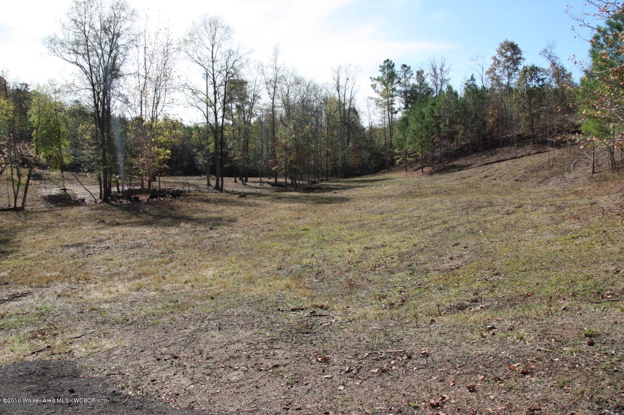 675 Ranchero Drive Jasper, AL 35501 - Photo 1 of 4 Gallery Image 1