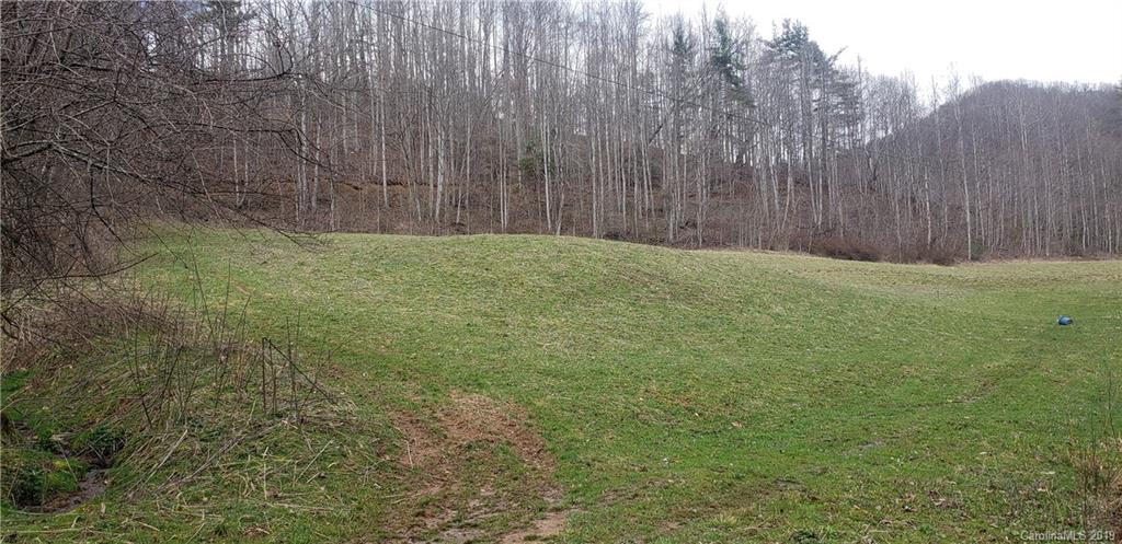 401 Charlie's Road Marshall, NC 28753 - Photo 11 of 12 Gallery Image 11