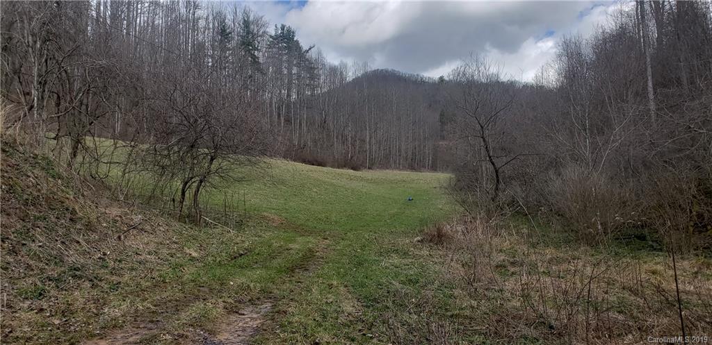 401 Charlie's Road Marshall, NC 28753 - Photo 10 of 12 Gallery Image 10