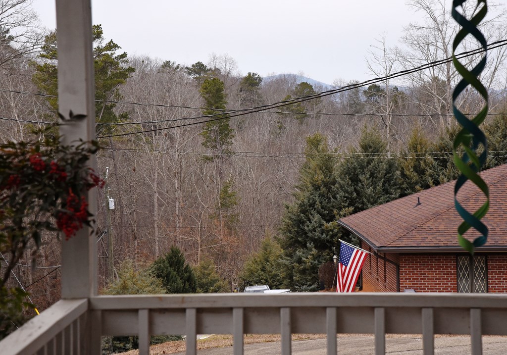 111 Seneca Way Ellijay, GA 30540 - Photo 48 of 63