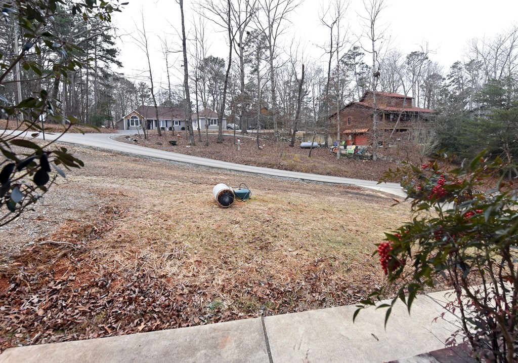 111 Seneca Way Ellijay, GA 30540 - Photo 50 of 63