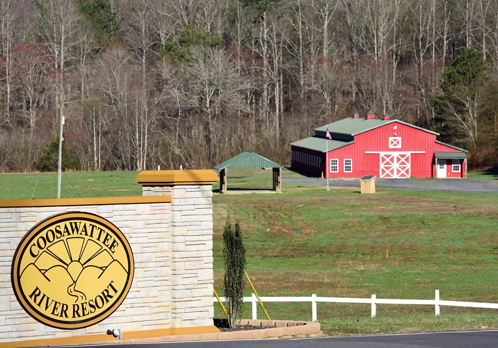 111 Seneca Way Ellijay, GA 30540 - Photo 52 of 63