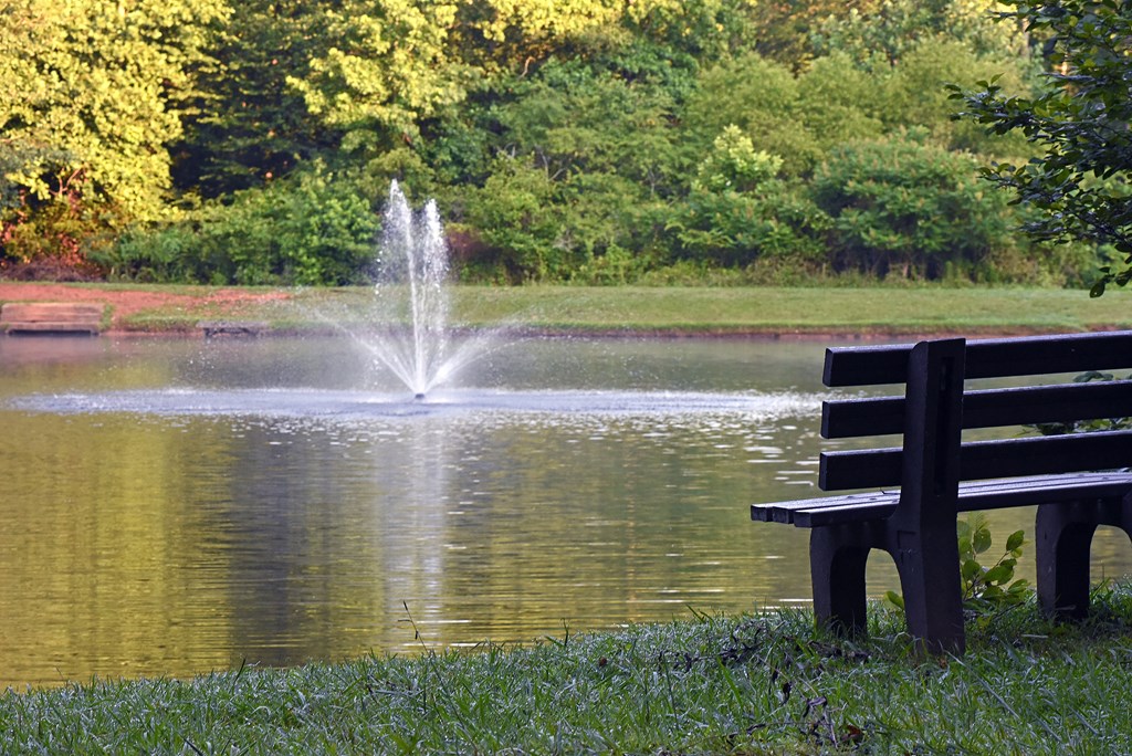 111 Seneca Way Ellijay, GA 30540 - Photo 63 of 63