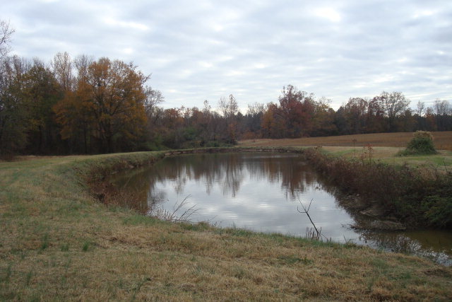 1 A Baines Loop Road Spring Spring Spring Hope, NC 27882 - Photo 6 of 12 Additional Photo