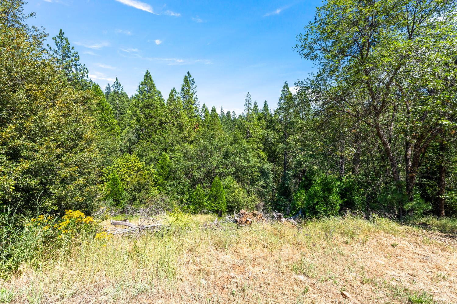 0 Meyers Road Camino, CA 95709 - Photo 20 of 28