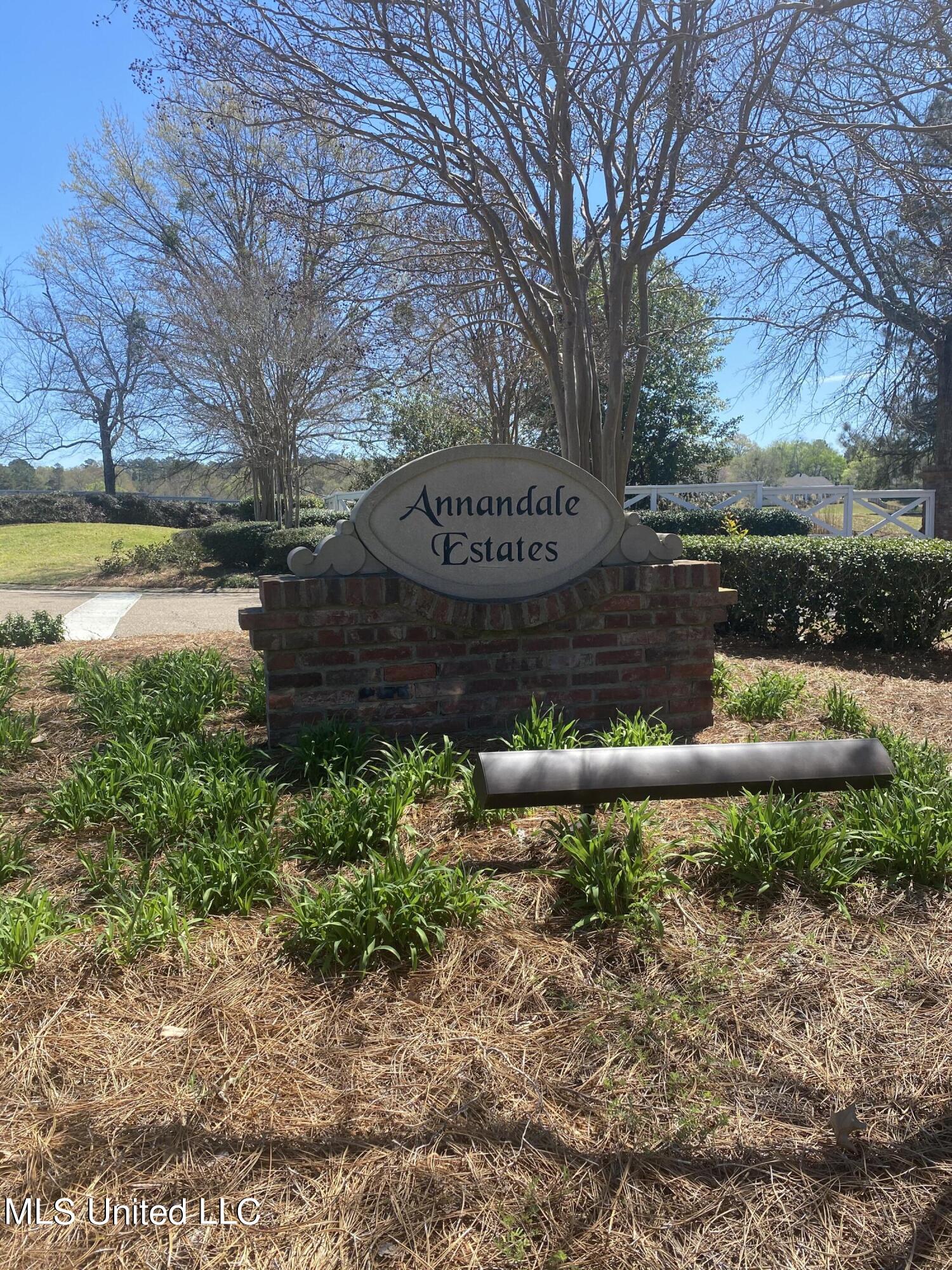 Lot 41 Southern Ridge Drive Madison, MS 39110 - Photo 1 of 4 IMG_4894
