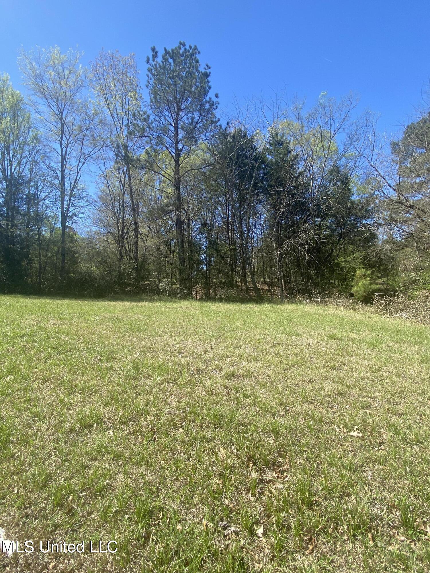 Lot 41 Southern Ridge Drive Madison, MS 39110 - Photo 3 of 4 IMG_4888
