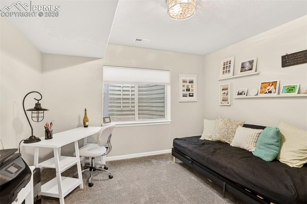 4474 Hessite Loop Colorado Springs, CO 80938 - Photo 28 of 34