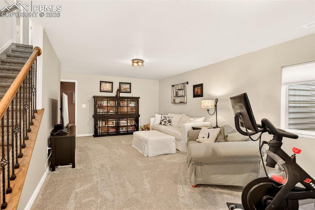 4474 Hessite Loop Colorado Springs, CO 80938 - Photo 30 of 34