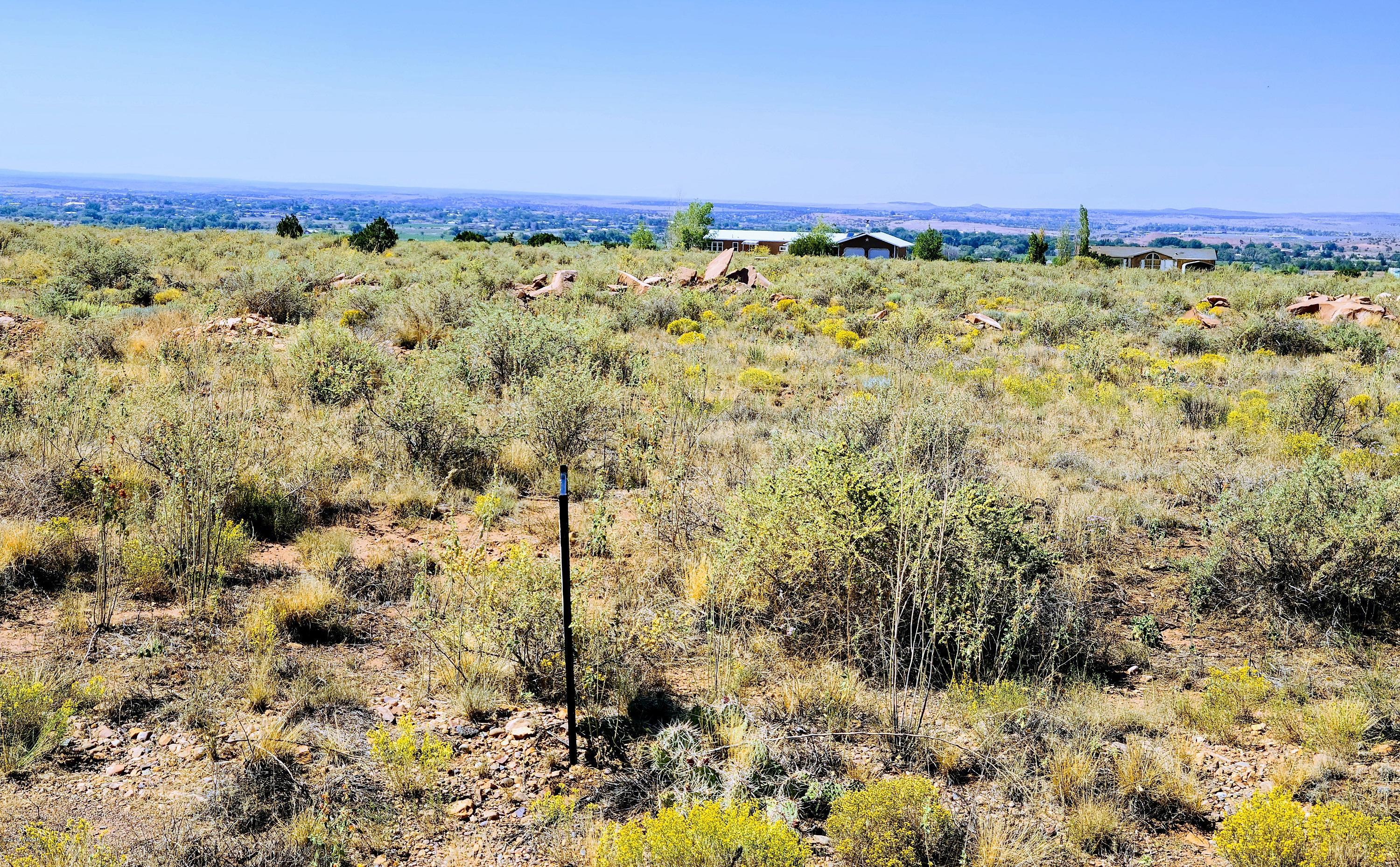 Tbd Tbd Boulevard Snowflake, AZ 85937 - Photo 5 of 5