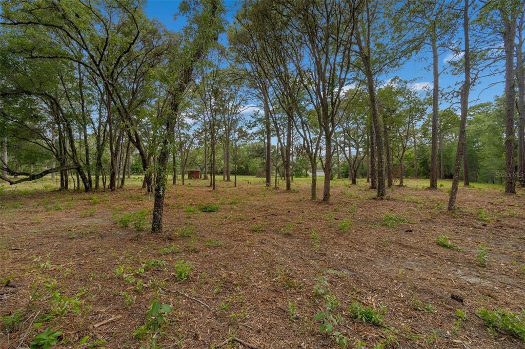 Grove Road Brooksville, FL 34613 - Photo 10 of 26