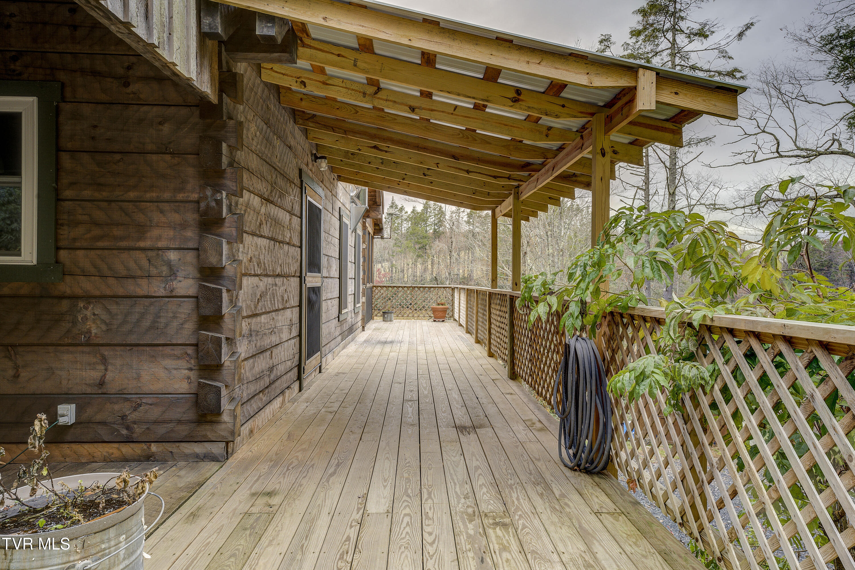 368 Ripshin Lake Road Roan Mountain, TN 37687 - Photo 18 of 100 Ripshin-54