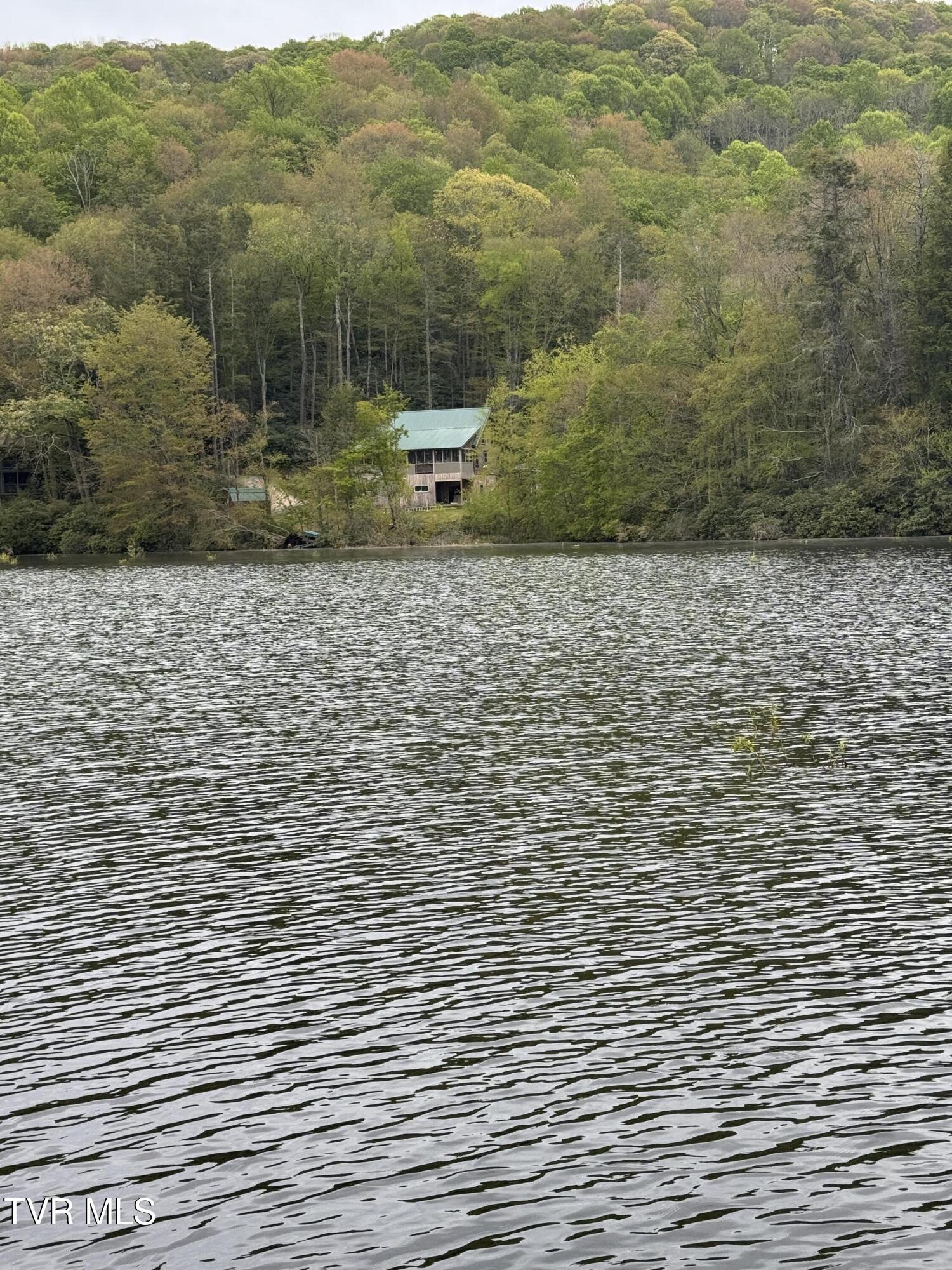 368 Ripshin Lake Road Roan Mountain, TN 37687 - Photo 2 of 100 IMG_3802