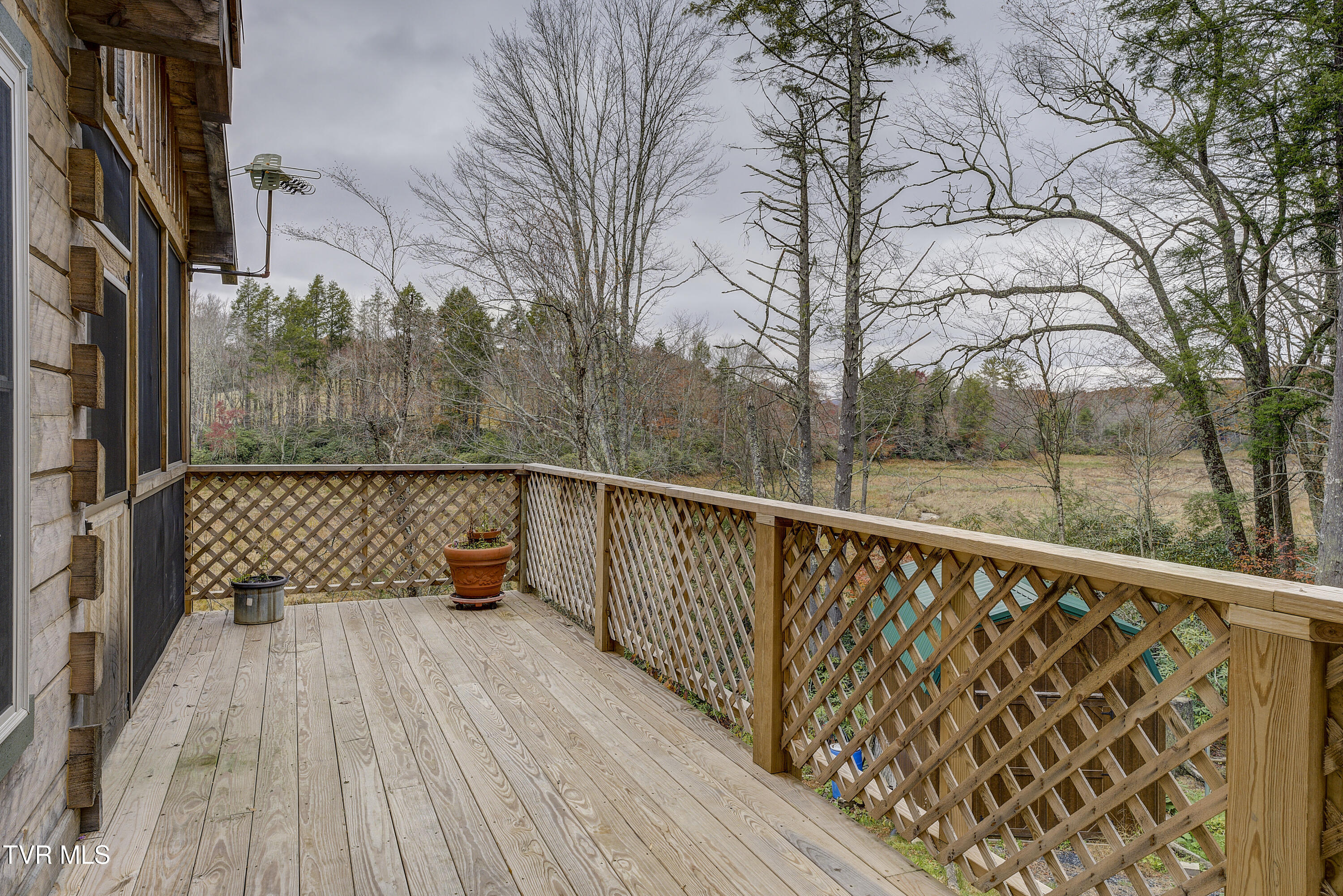 368 Ripshin Lake Road Roan Mountain, TN 37687 - Photo 23 of 100 Ripshin-55